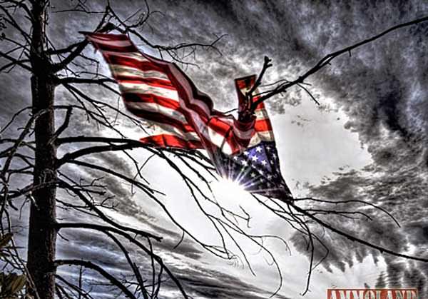 American-Flag-in-Distress-2.jpg