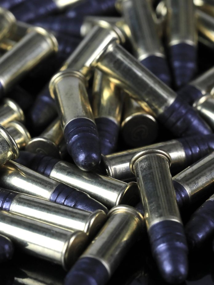 thinmetalsales-314150-bullets-for-firearms-image-1.jpg