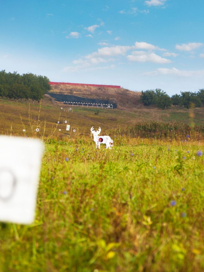 stoutbuckets-347247-shooting-range-deer-Image1.jpg