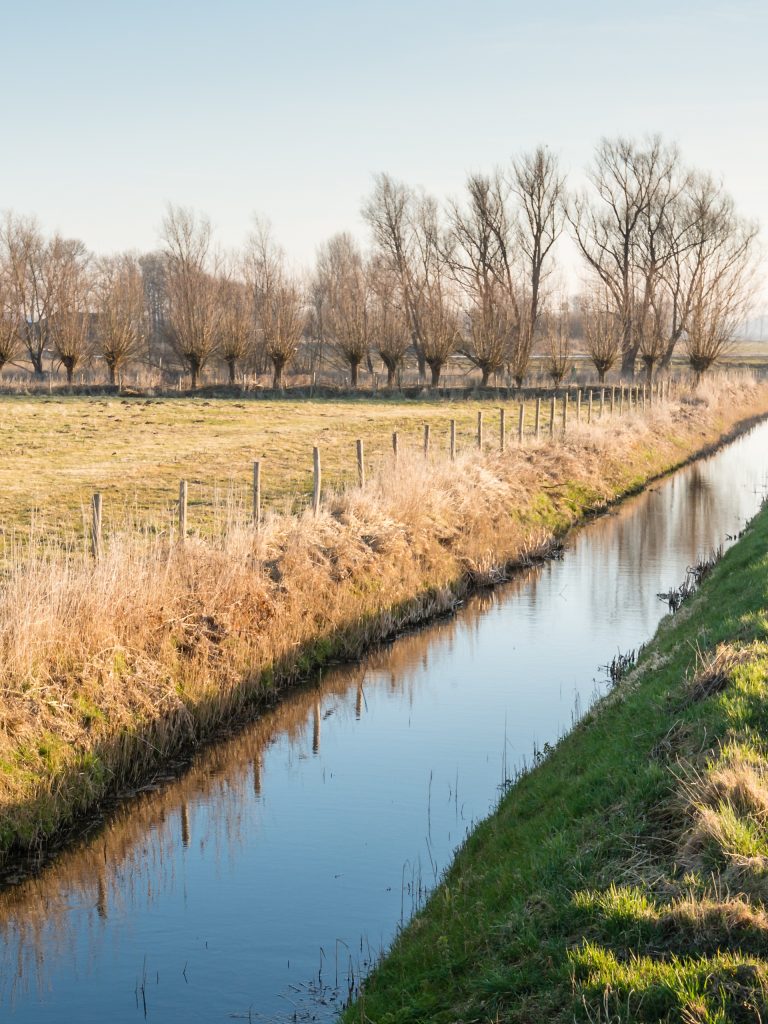 Agriculture Ditch Care: 7 Maintenance Tips